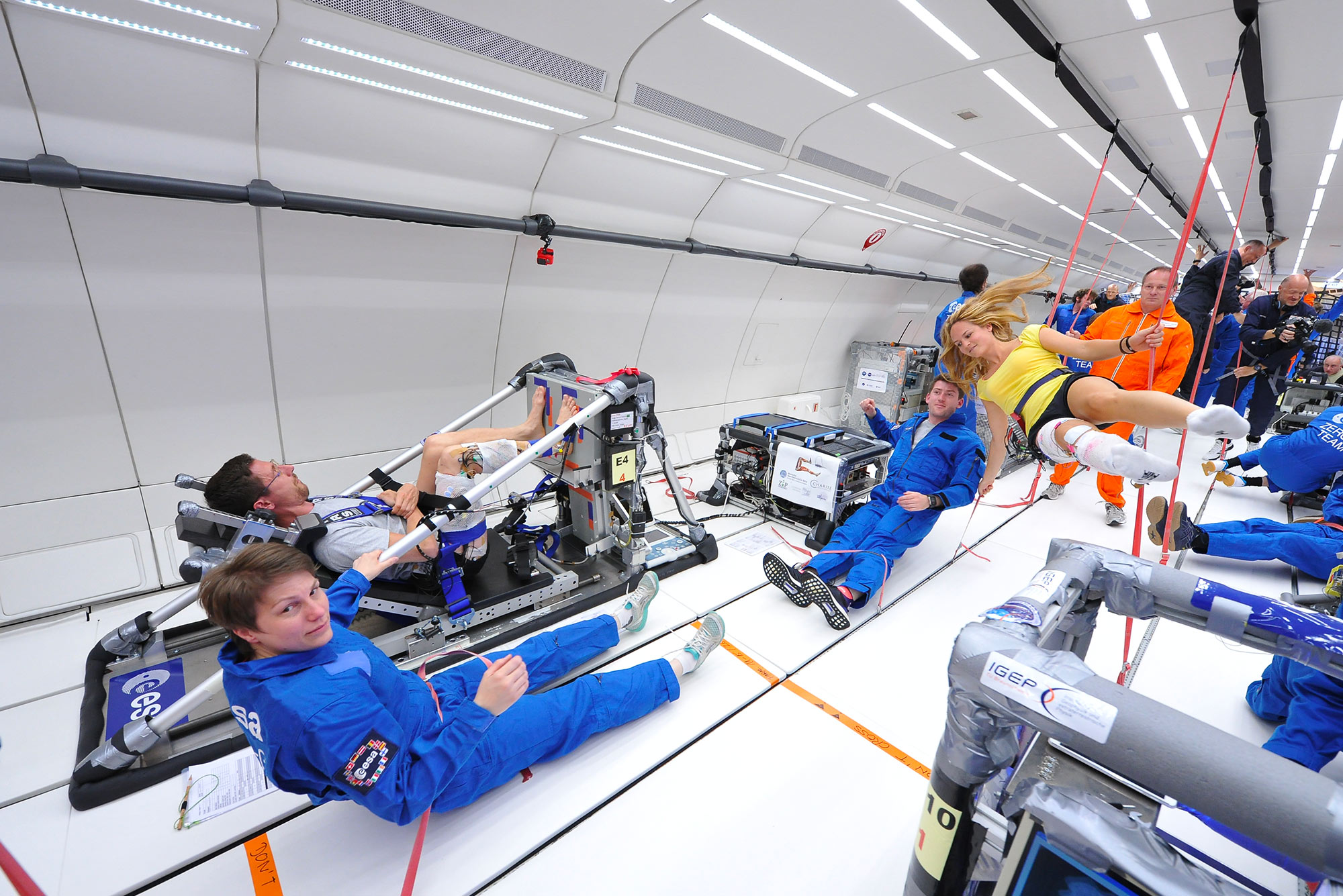 Study of muscular strength in microgravity